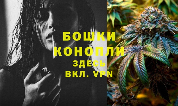 прущие крисы Верея
